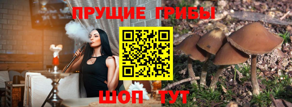 ГАШ  Вход с VPN  Конопля  Мефедрон  Кокаин  Пугачёв  Меф кристаллы 