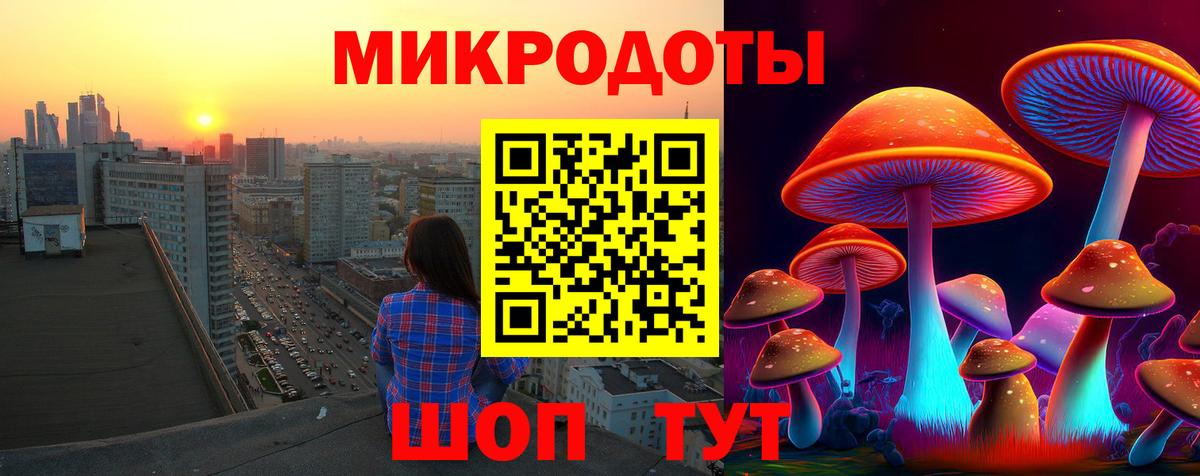 Пугачёв  продажа наркотиков  Вход с VPN  Галлюциногенные грибы Cubensis 